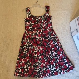 White House Black Market Dress